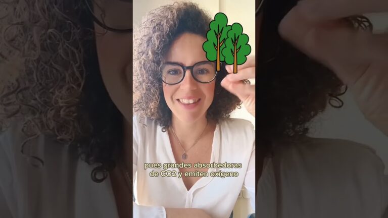 Techos Verdes: Transformando el Ambiente Urbano