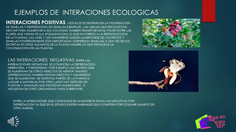 Construcciones Ecoamigables y su Impacto en la Biodiversidad de Cerramientos