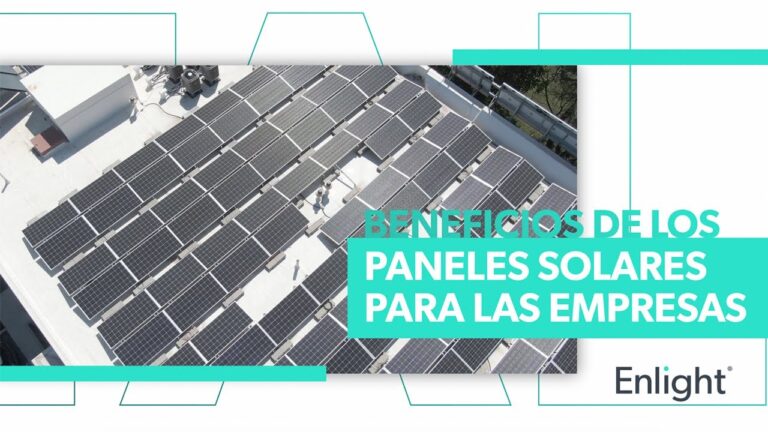 Impacto Positivo de los Paneles Solares en el Ahorro Energ&eacute;tico