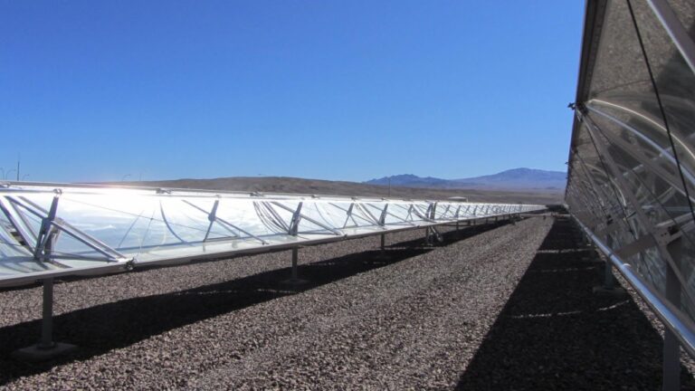 Sinergia entre Tecnología y Naturaleza en Sistemas de Protección Solar