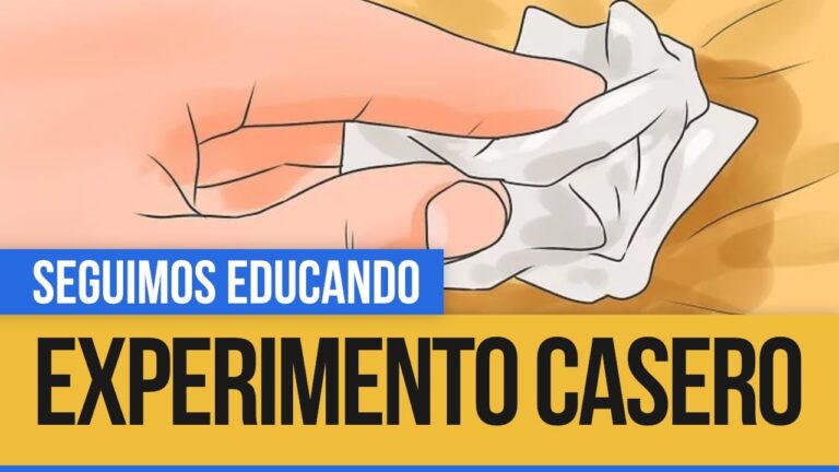 Efectividad de Tratamientos Antimosquitos en Cortinas de Cristal Transparentes
