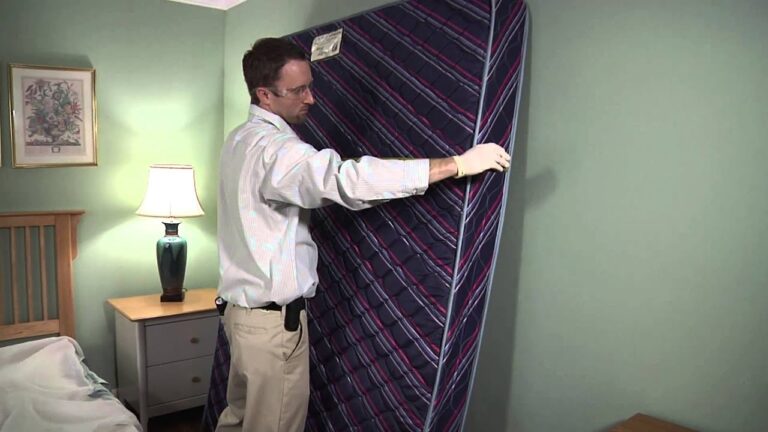 Beneficios de la Limpieza Regular de Cortinas de Cristal para Protección UV