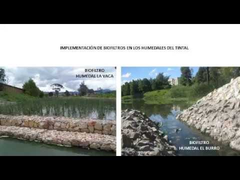 Sostenibilidad en Cerramientos Urbanos: Soluciones Ecol&oacute;gicas para Ciudades Inteligentes