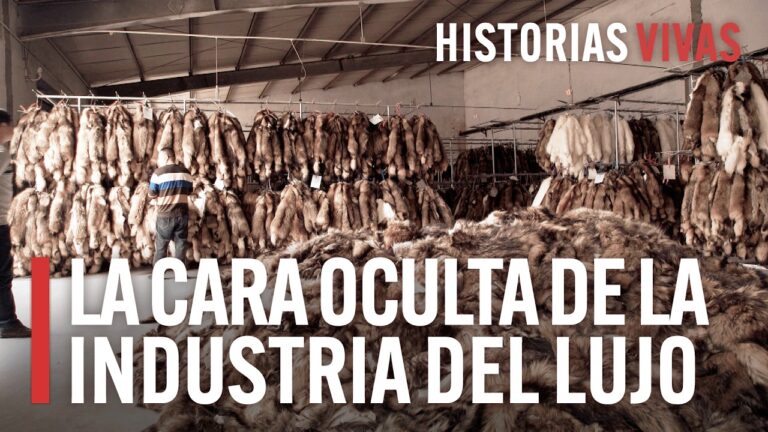 Dise&ntilde;adores Clave en la Moda de Lujo