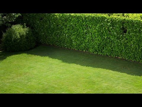 Mejora tu privacidad con cerramientos en el jard&iacute;n