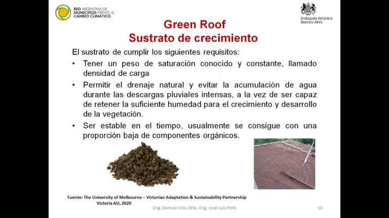Eficiencia Energ&eacute;tica a Trav&eacute;s de Techos Verdes en Climatizaci&oacute;n Natural