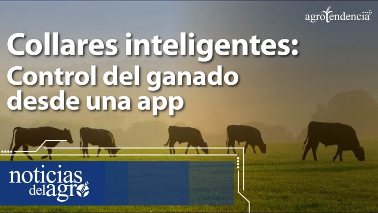 Innovaci&oacute;n en Sistemas Inteligentes para Cerramientos