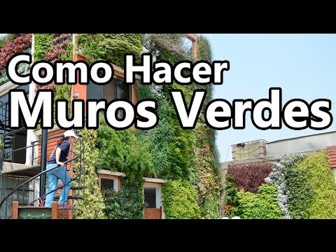 Innovaci&oacute;n en Cerramientos Ecol&oacute;gicos: Muros Verdes Sostenibles