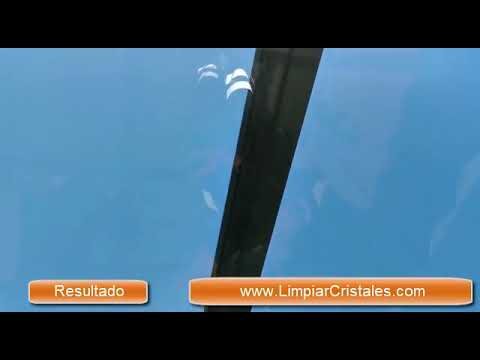Gu&iacute;a de Expertos en Mantenimiento y Limpieza de Cortinas de Cristal