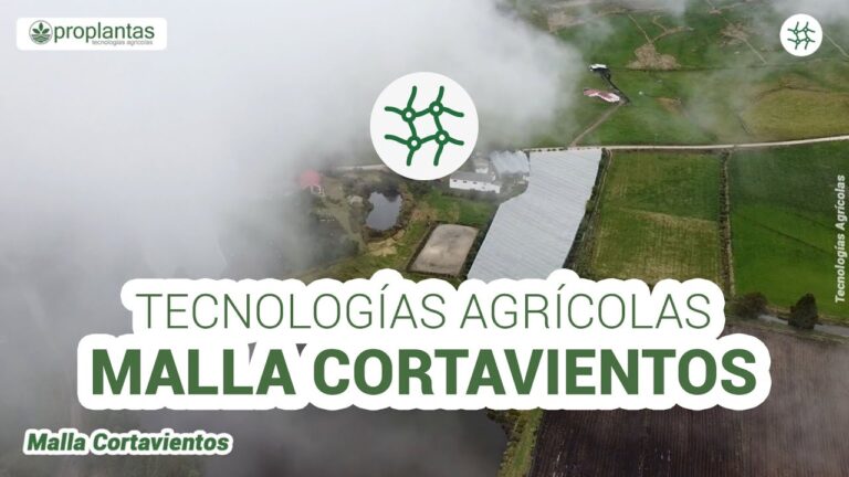 Mallas Cortavientos: La Soluci&oacute;n Efectiva contra el Viento