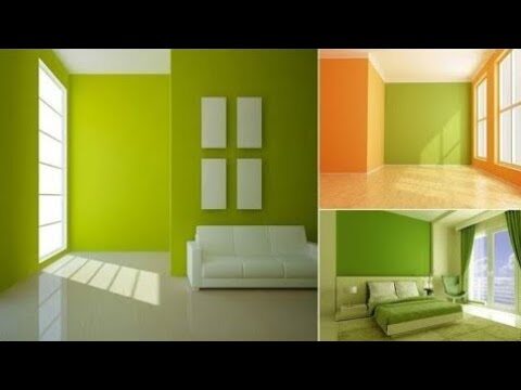 Tendencias de Muros Verdes y Conexión con la Naturaleza