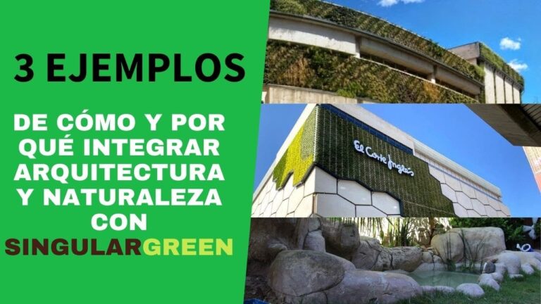 Beneficios de Integrar la Naturaleza en Techos Verdes
