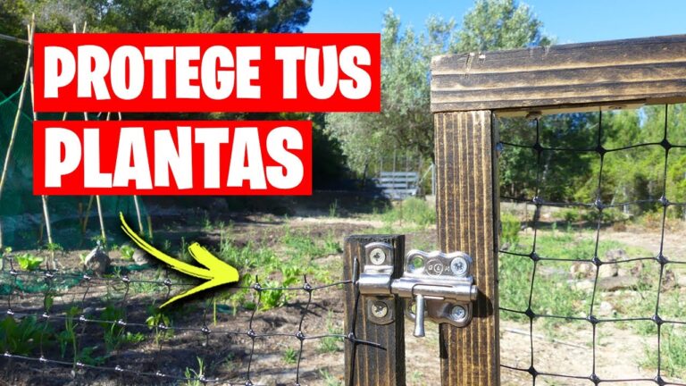 Cerramientos: La Solución Efectiva contra Plagas