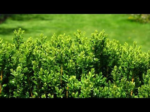 Piedra Artificial: Una Opci&oacute;n Sostenible para Cerramientos