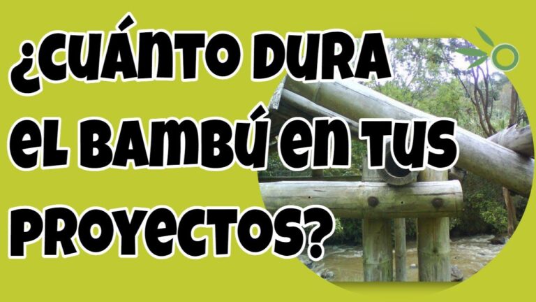 Durabilidad de Cerramientos de Bambú: Una Solución Sostenible